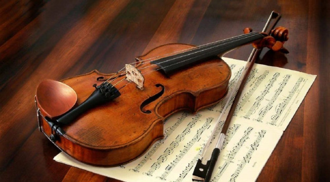 Cursuri si ore de vioara si teorie muzicala